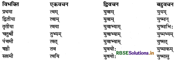 RBSE Class 9 Sanskrit व्याकरणम् सर्वनाम शब्द 8