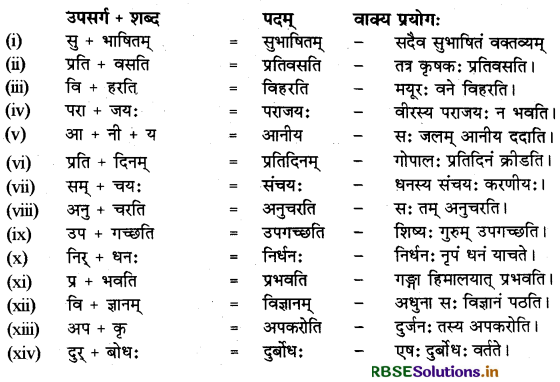 RBSE Class 9 Sanskrit व्याकरणम् उपसर्गाः 9