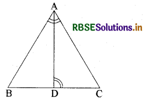 RBSE Solutions for Class 10 Maths Chapter 6 त्रिभुज Ex 6.3 Q13