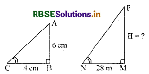 RBSE Solutions for Class 10 Maths Chapter 6 त्रिभुज Ex 6.3 Q15