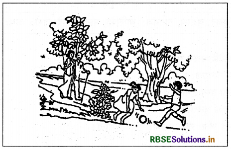 RBSE Class 9 Sanskrit रचनात्मक कार्यम् संकेताधारिताः चित्रवर्णनम् 9