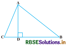 RBSE Solutions for Class 10 Maths Chapter 6 त्रिभुज Ex 6.5 Q14