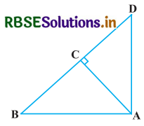 RBSE Solutions for Class 10 Maths Chapter 6 त्रिभुज Ex 6.5 Q3