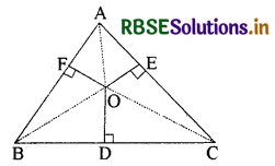 RBSE Solutions for Class 10 Maths Chapter 6 त्रिभुज Ex 6.5 Q8.1
