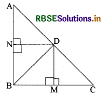 RBSE Solutions for Class 10 Maths Chapter 6 त्रिभुज Ex 6.6 Q2.1