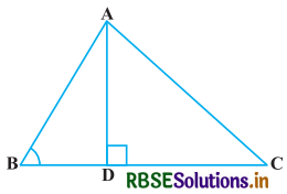 RBSE Solutions for Class 10 Maths Chapter 6 त्रिभुज Ex 6.6 Q4