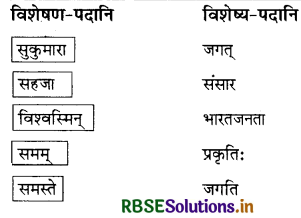 RBSE Solutions for Class 8 Sanskrit Ruchira Chapter 7 भारतजनताऽहम् 1