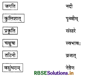 RBSE Solutions for Class 8 Sanskrit Ruchira Chapter 7 भारतजनताऽहम् 2
