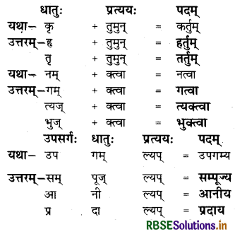 RBSE Solutions for Class 8 Sanskrit Ruchira Chapter 8 संसारसागरस्य नायकाः 1