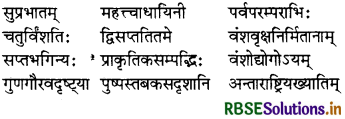 RBSE Solutions for Class 8 Sanskrit Ruchira Chapter 9 सप्तभगिन्यः 1
