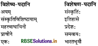 RBSE Solutions for Class 8 Sanskrit Ruchira Chapter 9 सप्तभगिन्यः 2
