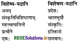 RBSE Solutions for Class 8 Sanskrit Ruchira Chapter 9 सप्तभगिन्यः 3