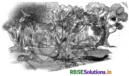 RBSE Solutions for Class 8 Sanskrit Ruchira Chapter 13 क्षितौ राजते भारतस्वर्णभूमिः 5