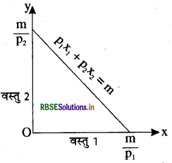 RBSE Class 12 Economics Important Questions Chapter 2 उपभोक्ता के व्यवहार का सिद्धांत 13