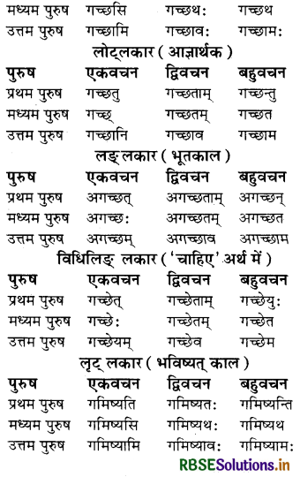 RBSE Class 8 Sanskrit व्याकरण धातु-रूपाणि 10