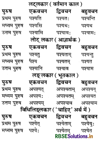 RBSE Class 8 Sanskrit व्याकरण धातु-रूपाणि 11