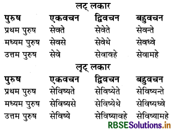 RBSE Class 8 Sanskrit व्याकरण धातु-रूपाणि 17