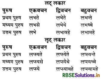 RBSE Class 8 Sanskrit व्याकरण धातु-रूपाणि 18