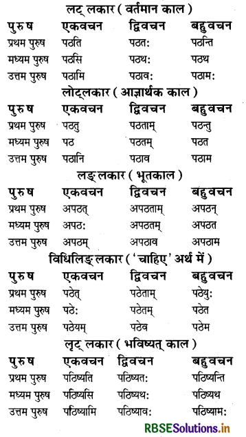 RBSE Class 8 Sanskrit व्याकरण धातु-रूपाणि 1