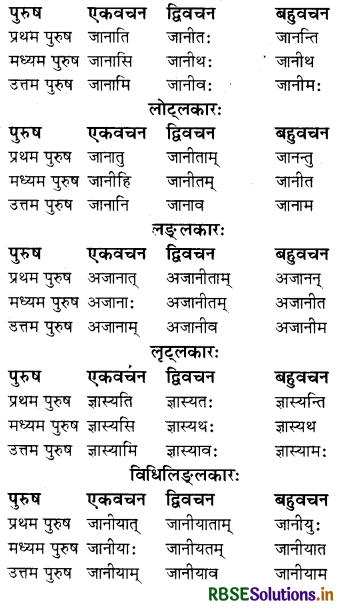 RBSE Class 8 Sanskrit व्याकरण धातु-रूपाणि 5