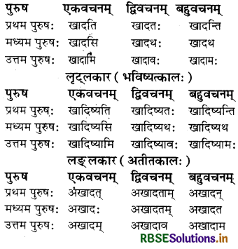 RBSE Class 8 Sanskrit व्याकरण धातु-रूपाणि 6