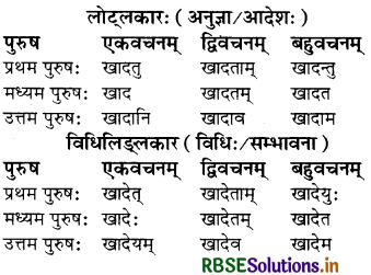 RBSE Class 8 Sanskrit व्याकरण धातु-रूपाणि 7