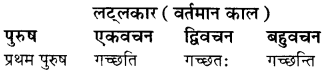 RBSE Class 8 Sanskrit व्याकरण धातु-रूपाणि 9
