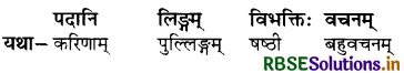RBSE Solutions for Class 8 Sanskrit Ruchira Chapter 15 प्रहेलिकाः 2