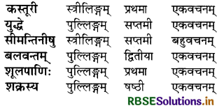 RBSE Solutions for Class 8 Sanskrit Ruchira Chapter 15 प्रहेलिकाः 3