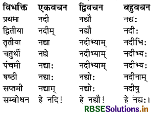 RBSE Class 8 Sanskrit व्याकरण संज्ञा शब्द 12