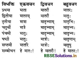 RBSE Class 8 Sanskrit व्याकरण संज्ञा शब्द 13