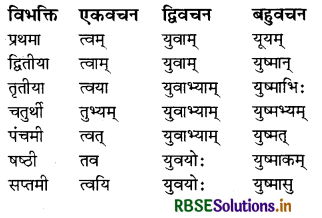 RBSE Class 8 Sanskrit व्याकरण सर्वनाम शब्द 13