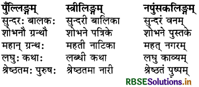 RBSE Class 8 Sanskrit व्याकरण विशेषण-विशेष्यशब्दाः 1