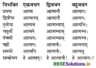 RBSE Class 8 Sanskrit व्याकरण संज्ञा शब्द 2