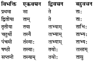 RBSE Class 8 Sanskrit व्याकरण सर्वनाम शब्द 2