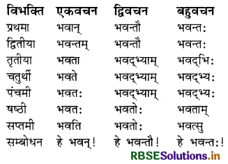 RBSE Class 8 Sanskrit व्याकरण संज्ञा शब्द 3