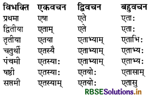 RBSE Class 8 Sanskrit व्याकरण सर्वनाम शब्द 5