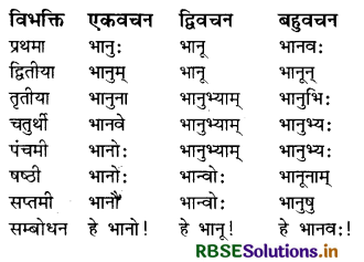 RBSE Class 8 Sanskrit व्याकरण संज्ञा शब्द 6