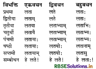 RBSE Class 8 Sanskrit व्याकरण संज्ञा शब्द 9