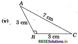 RBSE Solutions for Class 7 Maths Chapter 6 The Triangles and Its Properties Intext Questions 5