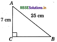 RBSE Solutions for Class 7 Maths Chapter 6 The Triangles and Its Properties Ex 6.5 2