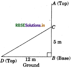 RBSE Solutions for Class 7 Maths Chapter 6 The Triangles and Its Properties Ex 6.5 4