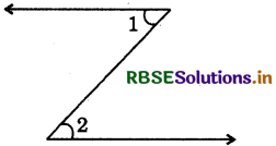 RBSE Solutions for Class 7 Maths Chapter 5 Lines and Angles Ex 5.1 10