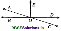 RBSE Solutions for Class 7 Maths Chapter 5 Lines and Angles Ex 5.1 13