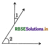 RBSE Solutions for Class 7 Maths Chapter 5 Lines and Angles Intext Questions 13