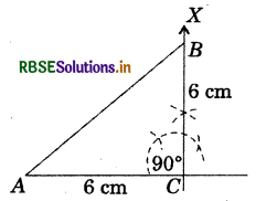 RBSE Solutions for Class 7 Maths Chapter 10 Practical Geometry Ex 10.5 3