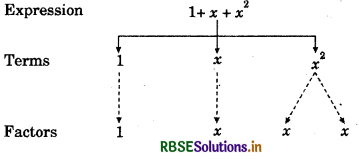 RBSE Solutions for Class 7 Maths Chapter 12 Algebraic Expressions Ex 12.1 2