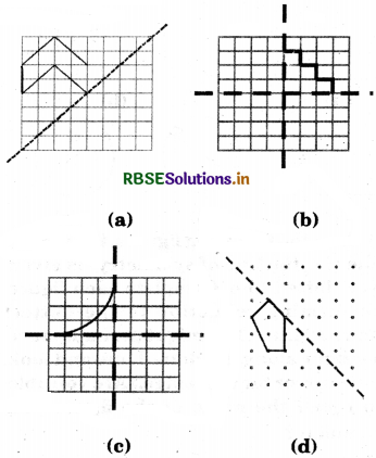 RBSE Solutions for Class 7 Maths Chapter 14 Symmetry Ex 14.1 12