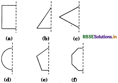 RBSE Solutions for Class 7 Maths Chapter 14 Symmetry Ex 14.1 5