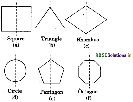 RBSE Solutions for Class 7 Maths Chapter 14 Symmetry Ex 14.1 6